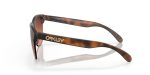 Oakley FROGSKINS LITE OO9374-937450 - Side View
