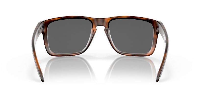 Oakley HOLBROOK XL OO9417-941702 - Back View