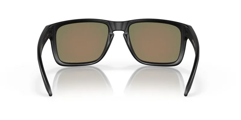 Oakley HOLBROOK XL OO9417-941704 - Back View
