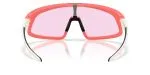 Oakley RSLV OO9484D-948411 - Back View