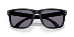 Oakley Holbrook XXL (A) OO9487F-01 - Folded View Oakley Holbrook XXL (A) OO9487F-01 - Folded View