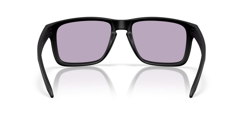 Oakley HOLBROOK XXL (A) OO9487F-948703 - Back View