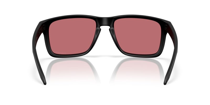 Oakley HOLBROOK XXL (A) OO9487F-948704 - Back View