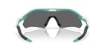 Oakley Radar Plate OO9495D-04 - Back View