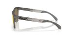 Oakley FROGSKINS RANGE XL A OO9503A-950302 - Side View
