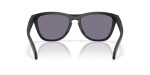 Oakley FROGSKINS RANGE XL A OO9503A-950306 - Back View
