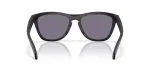 Oakley Frogskins Range XL A OO9503A-06 - Back View Oakley Frogskins Range XL A OO9503A-06 - Back View