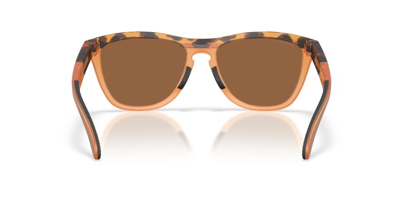 Oakley FROGSKINS RANGE XL A OO9503A-950308 - Back View