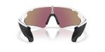 Oakley STUNT DEVIL A OO9525-952502 - Back View