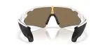 Oakley Stunt Devil A OO9525-08 - Back View Oakley Stunt Devil A OO9525-08 - Back View