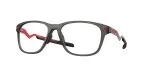 Oakley CEREBRAL OX8187-818702