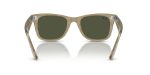 Rayban WAYFARER RB2140F-138731 - Back View Rayban WAYFARER RB2140F-138731 - Back View