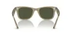 Rayban WAYFARER RB2140F-138731 - Back View Rayban WAYFARER RB2140F-138731 - Back View