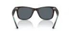 Rayban WAYFARER RB2140F-1446R5 - Back View Rayban WAYFARER RB2140F-1446R5 - Back View