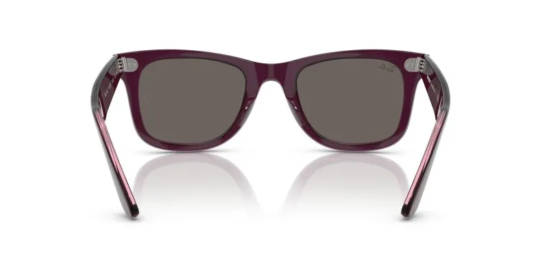 Rayban WAYFARER RB2140F-1447B1 - Back View
