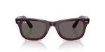 Rayban WAYFARER RB2140F-1447B1