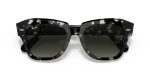 Rayban STATE STREET RB2186-133371 - Folded View Rayban STATE STREET RB2186-133371 - Folded View