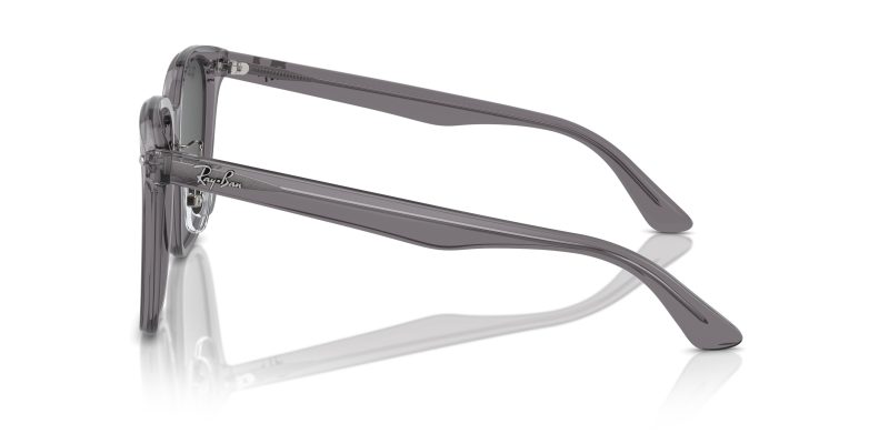 Rayban RB2206D-139987 - Side View