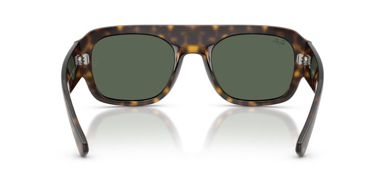 Rayban RB2218-679071 - Back View