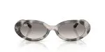 Rayban RB2223F-144832 Rayban RB2223F-144832