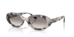 Rayban RB2223F-144832 - Quarter View Rayban RB2223F-144832 - Quarter View