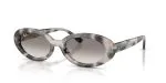 Rayban RB2223F-144832 - Quarter View Rayban RB2223F-144832 - Quarter View
