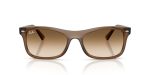 Rayban RB2226F 664051