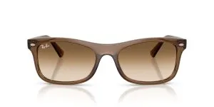 Rayban RB2226F 664051