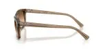 Rayban RB2226F 664051 - Side View Rayban RB2226F 664051 - Side View