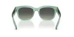 Rayban RB2228M F70911 - Back View