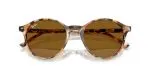 Rayban BERNARD RB2230F-135733 - Folded View Rayban BERNARD RB2230F-135733 - Folded View