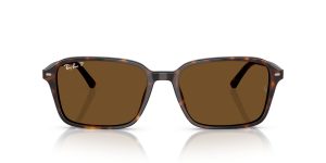 Rayban RAIMOND RB2231F-902/57