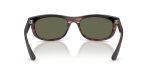 Rayban BALORAMA RB2489-144058 - Back View Rayban BALORAMA RB2489-144058 - Back View