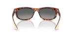 Rayban BALORAMA RB2489-144371 - Back View