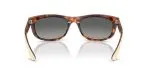 Rayban BALORAMA RB2489-144371 - Back View Rayban BALORAMA RB2489-144371 - Back View