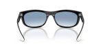Rayban BALORAMA RB2489-14443F - Back View Rayban BALORAMA RB2489-14443F - Back View