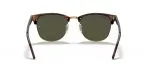 Rayban CLUBMASTER RB3016-W0366 - Back View