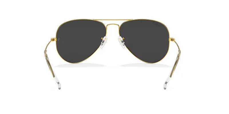 Rayban AVIATOR LARGE METAL RB3025-919648 - Back View
