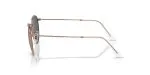 Rayban ROUND METAL RB3447-9202R5 - Side View