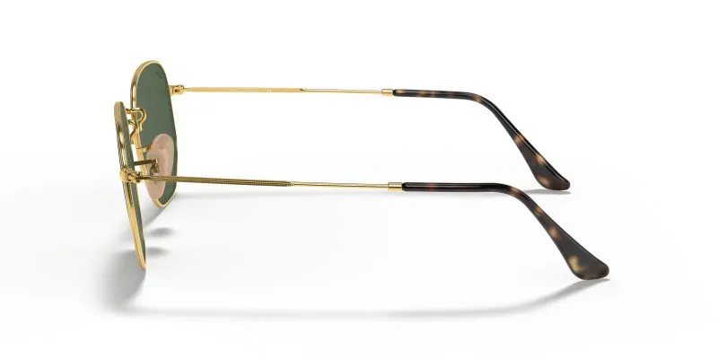 Rayban HEXAGONAL RB3548N-001 - Side View