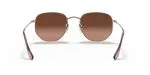 Rayban HEXAGONAL RB3548N-9069A5 - Back View