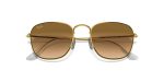 Rayban FRANK RB3857-919651 - Folded View