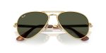 Rayban AVIATOR MAX RB3925-001/31 - Folded View