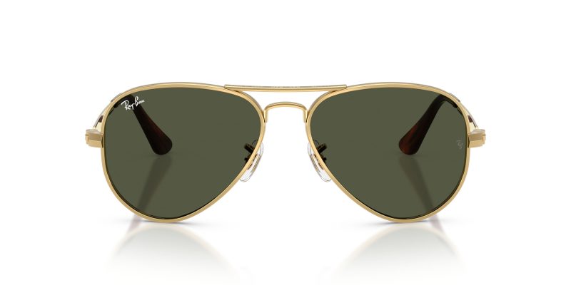 Rayban AVIATOR MAX RB3925-001/31