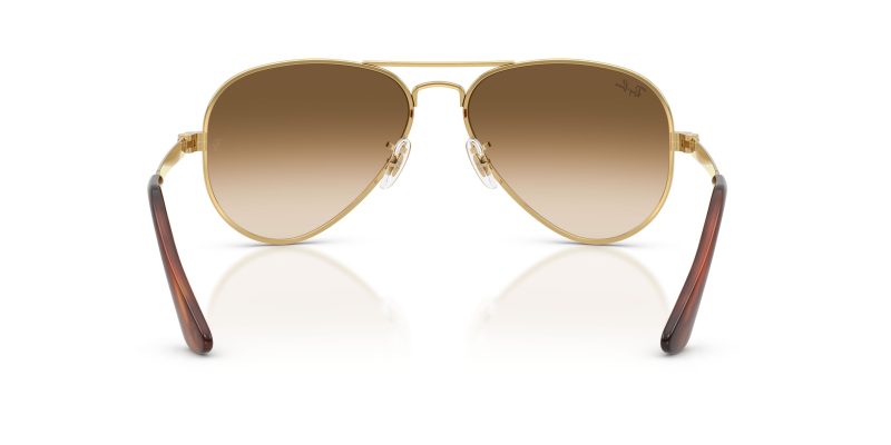 Rayban AVIATOR MAX RB3925-001/51 - Back View