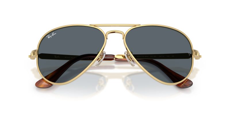 Rayban AVIATOR MAX RB3925-001/R5 - Folded View