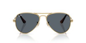 Rayban AVIATOR MAX RB3925-001/R5