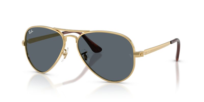Rayban AVIATOR MAX RB3925-001/R5 - Quarter View