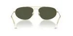 Rayban RB3945-919631 - Back View Rayban RB3945-919631 - Back View