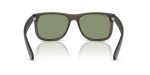 Rayban JUSTIN RB4165F-687382 - Back View